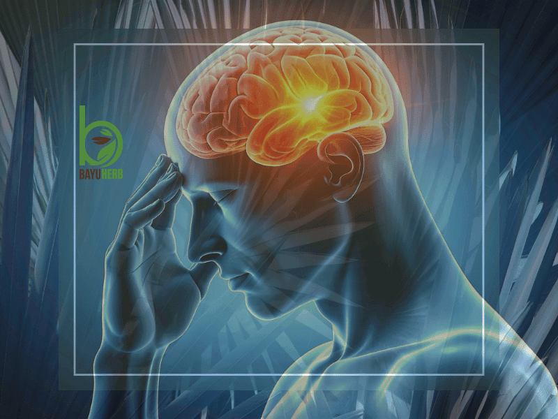 Fakta Mengejutkan Jumlah Penghidap Anxiety di Malaysia dan Dunia 1