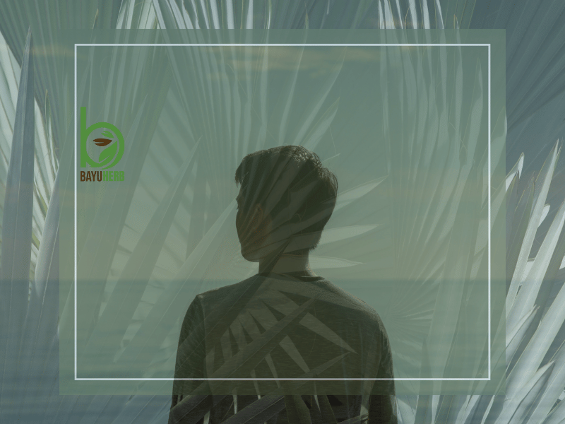 Herbs for Focus and Sleep Malaysia – Natural Ways to Calm the Mind