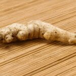 Halia Zingiber officinale