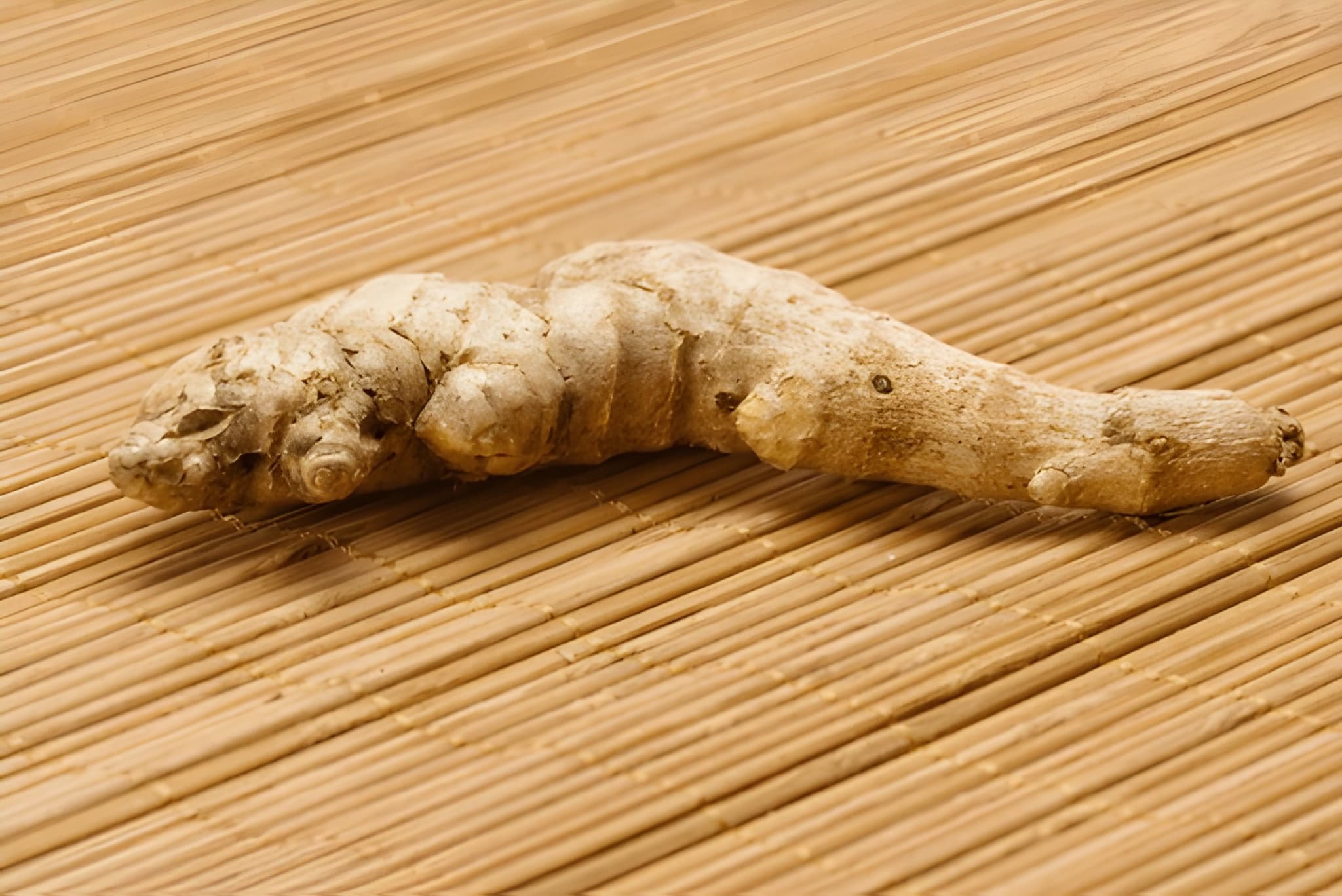 Halia Zingiber officinale