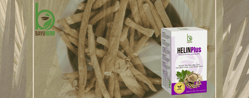 How Ashwagandha Helps Reduce Stress and Anxiety Naturally 1