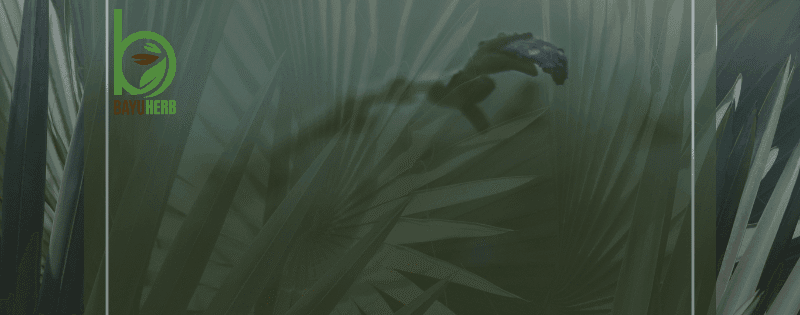 Penulisan Hari 12 10 Tabiat Harian yang Senyap senyap Memburukkan Anxiety