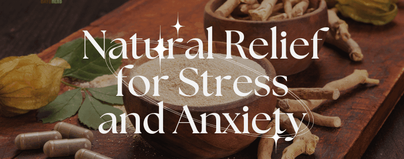 Natural Relief for Stress and Anxiety